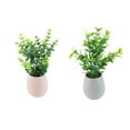 thumbnail image 1 of VERDURE EN POT CÉRAMIQUE OVALE, 2 ASSORTIS, VERT, 23CM, 1 of 1