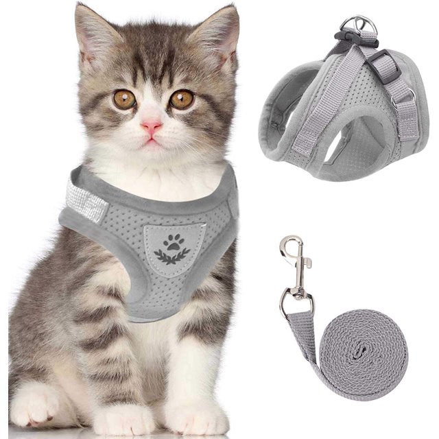 GFDYREE Cat Vest Harness and Small Dog Vest Harness for Walking, All Weather Mesh Harness, Cat Vest Harness with Reflective Strap, Step in Adjustable Harness for Small Cats (Gray, XS)