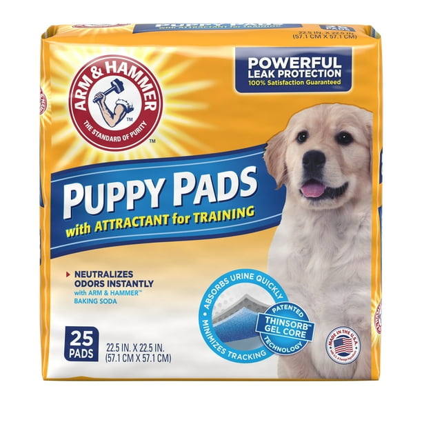 Arm & Hammer Absorbent Dog Pads, 22.5 in x 22.5 in, 25 Count Walmart