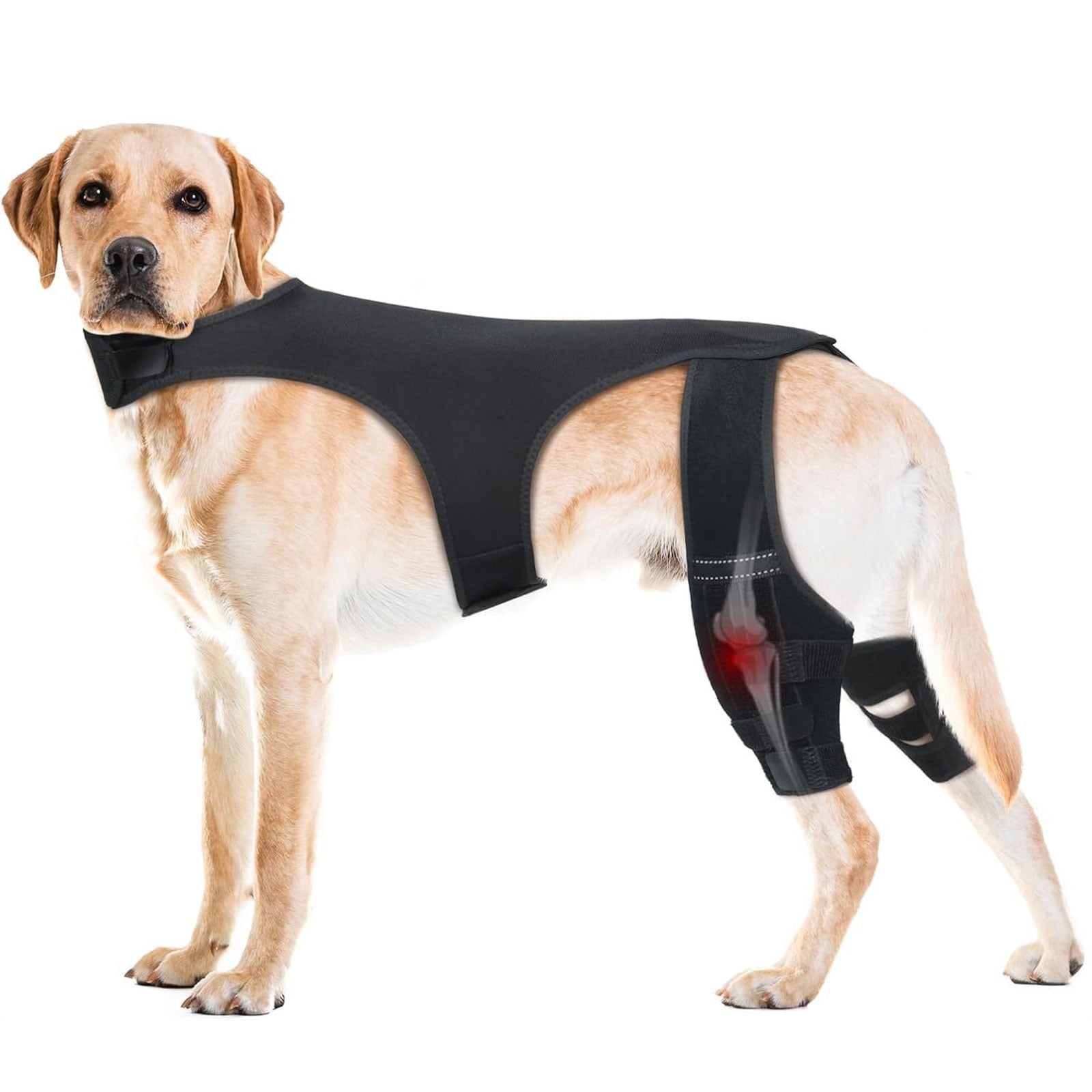 Dog Knee Brace Back Leg Joints Protectors Elastic Neoprene Leg Sleeve With Adjustable Belt For Elderly Dog Health Joint