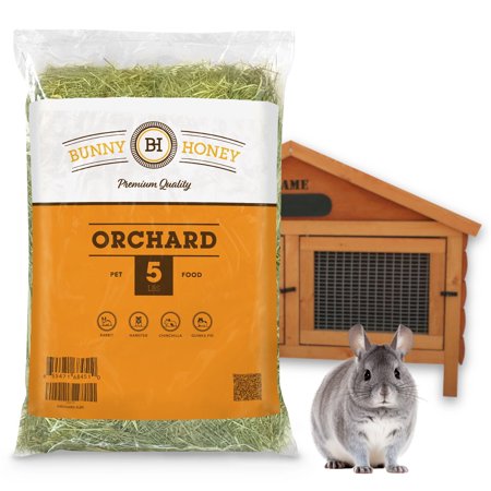 Bunny Honey Natural Orchard Grass 80 oz - Premium Hay for Guinea Pigs, Rabbits, Hamsters & Small Pets - Best Cut, Delivered Fresh & Not Blended - Promotes Dental Health and Digestive Function - 5 Lb