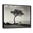 thumbnail image 2 of Designart "Monochrome Coastal Horizon With A Solitary Tree" Coastal Minimalism Floater Framed Wall Art Prints, 2 of 5