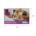 Vibrant Life Training Pads, Dog & Puppy Pads, XXL, 30 in x 36 in, 100
