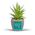 thumbnail image 1 of Qoutes Famous People Healing Lovers Found World In Eyes Fake Pineapple Flower Pot Vase Mini Decor, 1 of 3