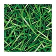 thumbnail image 4 of HAOXIT , Grass Print Table Covers,Table Cloth for Birthday Sports Theme Parties Decorations Supplies 52*52, 4 of 8