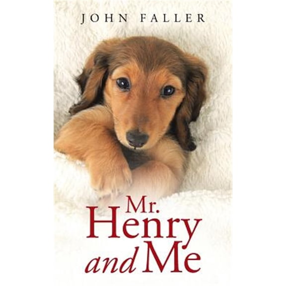 Pre-Owned Mr. Henry and Me (Paperback) by John Faller