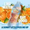 thumbnail image 3 of Splash Refresher, Mandarin Orange Flavored Water, 16.9 Fl Oz, 24 Pack, 3 of 6