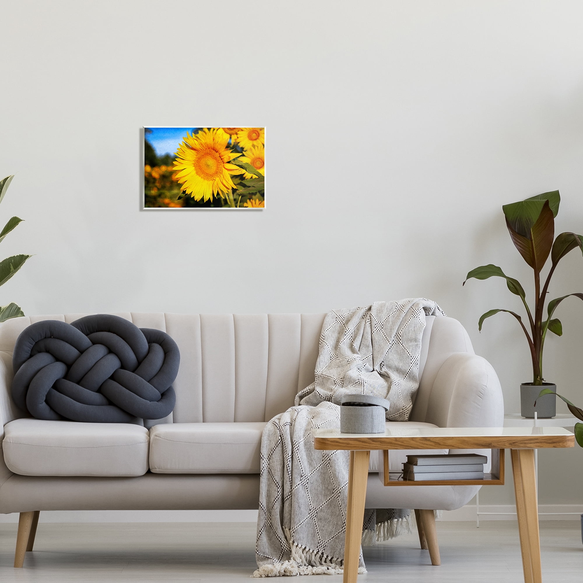 Stupell Industries Country Sunflower Photography Botanical & Floral Photography Unframed Art Print Wall Art, 15 x 10