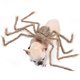 thumbnail image 2 of Pet Halloween Transformation Dress Black Spider Pet Decoration Ghost Festival Large, Medium, Small Dogs, Cats Funny Clothes (Brown), 2 of 3
