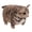 03, variant on Chubby Cat Plush Toys Stuffed Pet Cat Doll Cute Lifelike Kitten Hanging Toys Bags Decor Home Pillow
