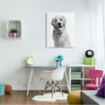 thumbnail image 2 of Stupell Industries Monochrome Golden Retriever Dog Smiling Glasses Design Graphic Art Gallery-Wrapped Canvas Print Wall Art, 30x40, by Annalisa Latella, 2 of 6
