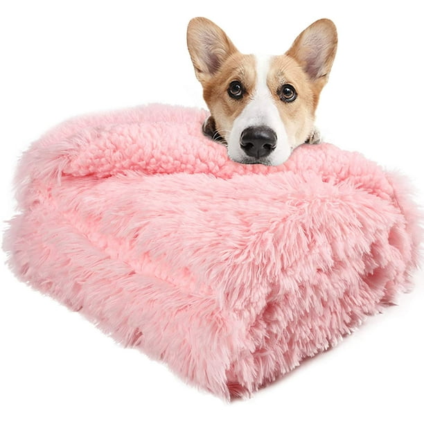 Plush dog blankets sale