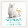 thumbnail image 5 of Purina Fancy Feast Gourmet Naturals Pate Kitten Food, Wet Cat Food, Whitefish, 3 oz Cans, 12 Pack, 5 of 10