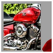 Wallhogs Batie V Star Poster Wall Mural