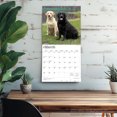 thumbnail image 5 of Labrador Retrievers | 2026 12x24" (Hanging) Square Wall Calendar | Plastic-Free, 5 of 9