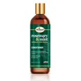 thumbnail image 1 of Acondicionador para el cabello Difeel Elevated Rosemary Mint con biotina 12 oz. - Elaborado con romero y menta naturales para fortalecer el cabello seco y dañado, promover el crecimiento, suavizar las, 1 of 5