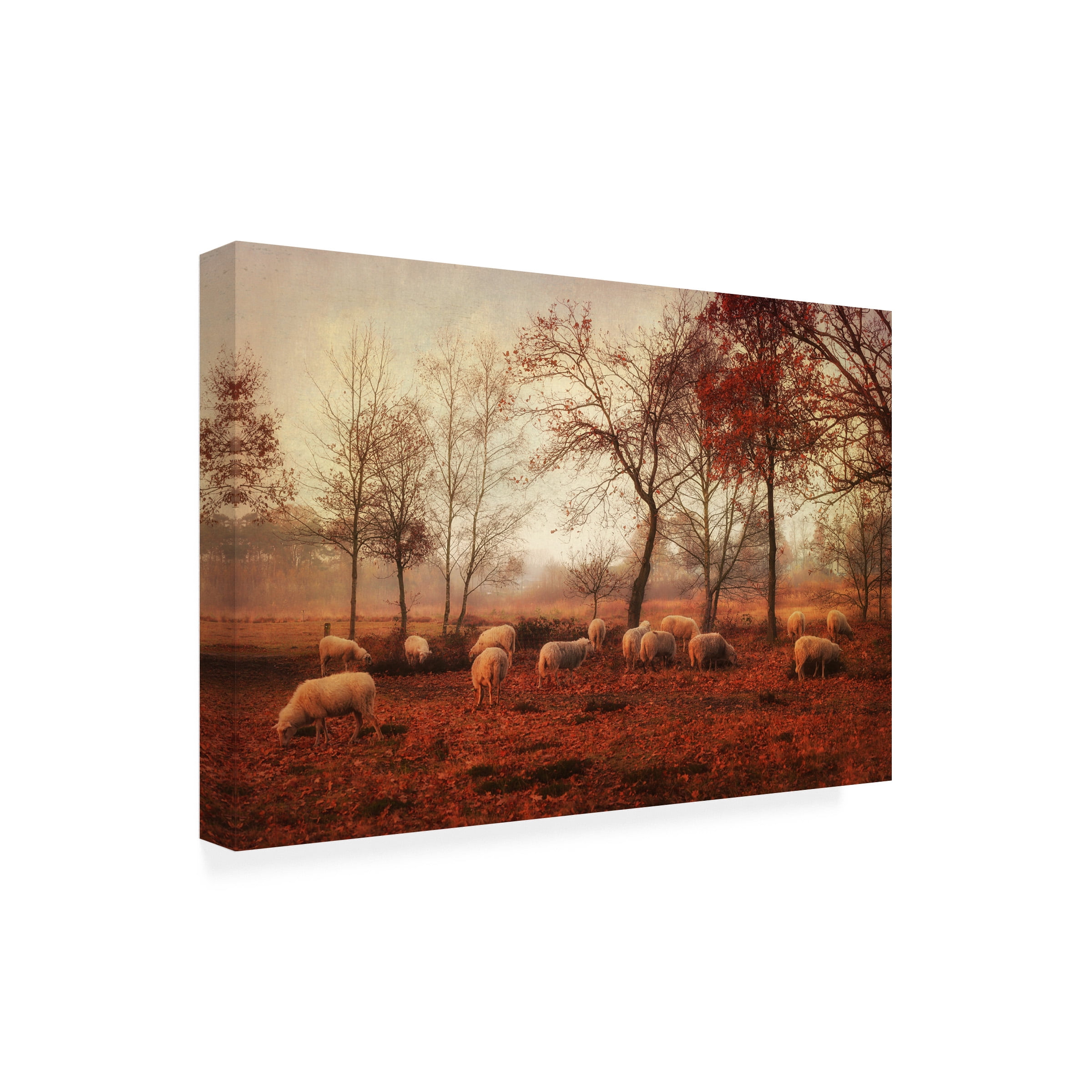Ellen Van Deelen 'Last Days Of Autumn' Canvas Art