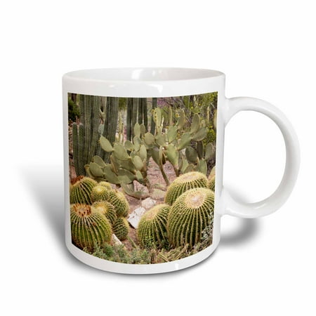 

3dRose USA Arizona Tucson Tucson Botanical Gardens cactus species. - Ceramic Mug 15-ounce