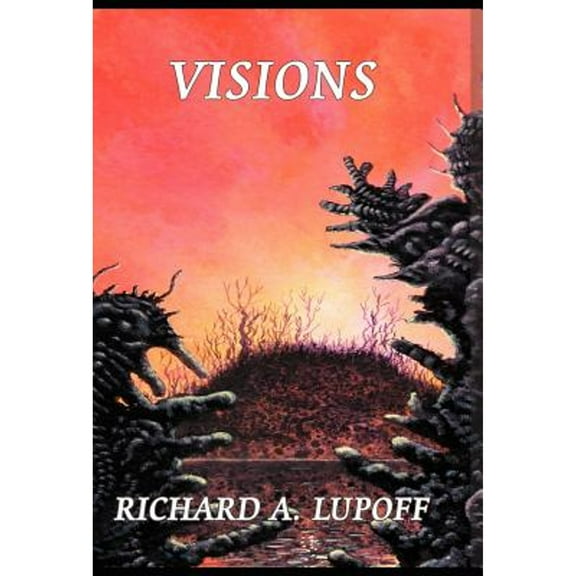 Visions (Hardcover)