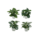 thumbnail image 1 of 4 Macetas Plantas Artificiales Macetas Decorativas Bonsai Belug, Blanco, 1 of 5