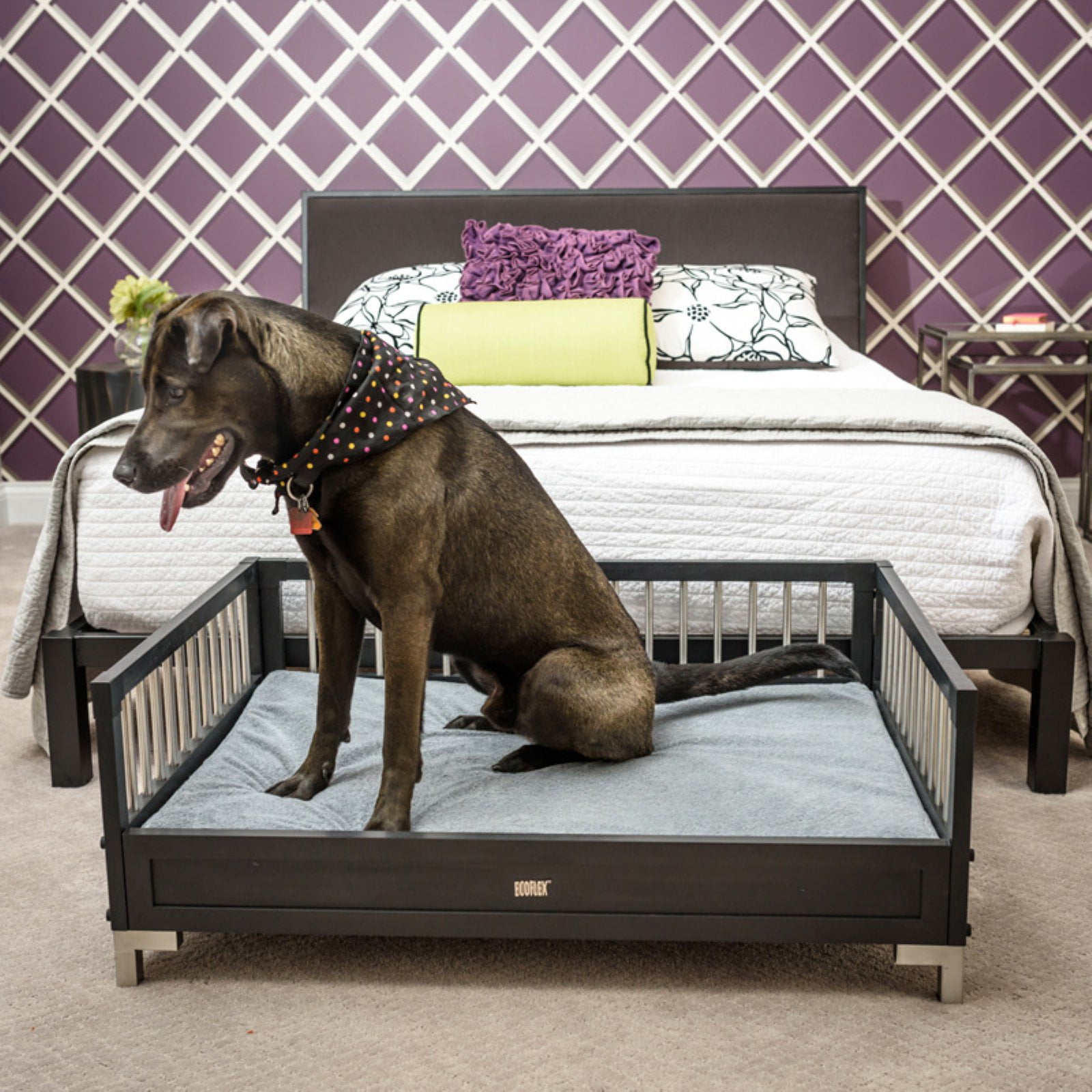 ECOFLEX Raised Dog Bed with Memory Foam Cushion, Espresso, Extra Large