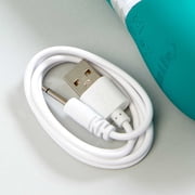 Eve's Rechargeable Rabbit