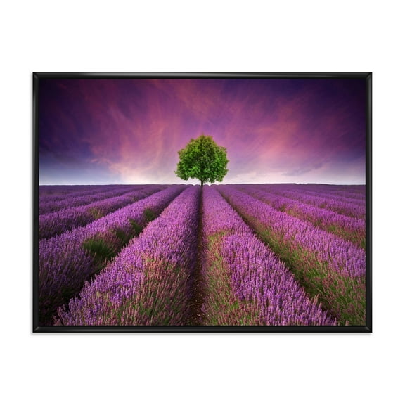 Designart 'Tree With Stunning Lavender Field Summer Sunset' Farmhouse Framed Canvas Wall Art Print