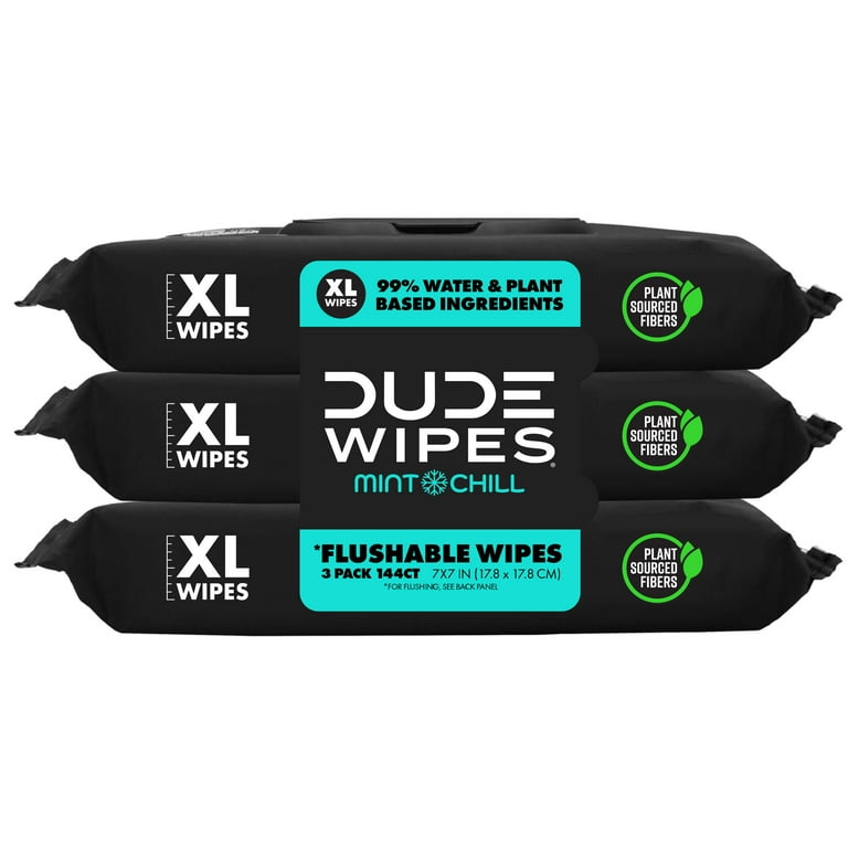 Dude Wipes Extra Large Mint Chill Flushable Wipes 3 - 48 Wipe Packs
