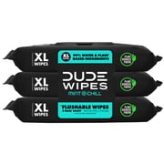 DUDE Flushable Wipes, Extra Large Mint Chill Wet Wipes, 48 Count, 3 Pack (144 Total)
