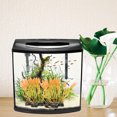 thumbnail image 4 of BESTYASH 20Ud Decorativas Artificiales Para Acuarios Y Refugio De Peces, 4 of 5