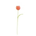 thumbnail image 2 of Puntoco Flor Artificial Tulipán Gordo Solo Rojo,Decoración Hogareña, 2 of 4