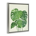 thumbnail image 4 of Stupell Industries Green Monstera Bundle Botanical & Floral Painting Gray Floater Framed Art Print Wall Art, 25 x 31, 4 of 10
