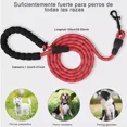 thumbnail image 4 of Correa Para Perro Grande Resistente Fuerte 2pcs, 4 of 6