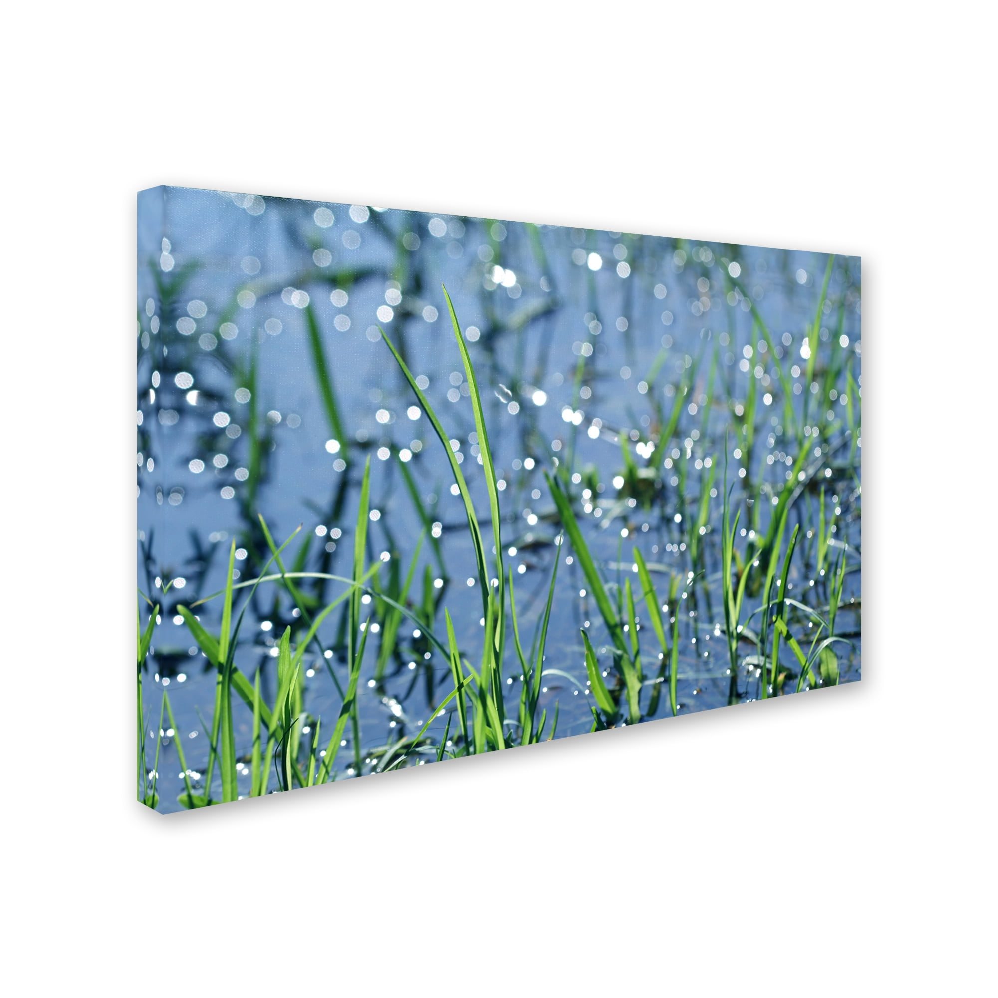 Trademark Fine Art "After the Rain" Canvas Art by Beata Czyzowska Young