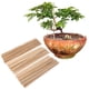 thumbnail image 5 of Style 5 50 unidades de palitos de bambú para plantas, soporte para plantas, palitos para flores, varillas para orquídeas, 5 of 5