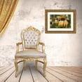 thumbnail image 3 of Berzel, Erin 14x11 Gold Ornate Wood Framed with Double Matting Museum Art Print Titled - Echinacea VII, 3 of 4