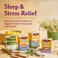 Tea Kava Stress Relief (6 Pack) Eases Tension and Promotes