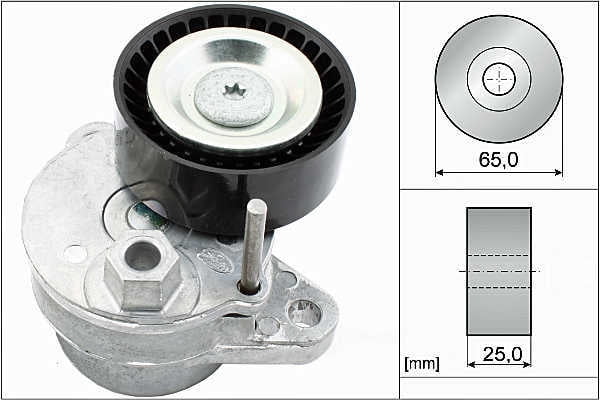 INA US FT40540 Accessory Drive Belt Tensioner Assembly