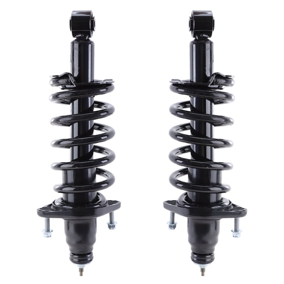 Axenor Pair Rear Struts w/ Coil Spring Assembly 172497L