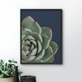 thumbnail image 2 of PixonSign Framed Wall Art Print Detailed White Rose Succulent Nature Plants Photography Realism Modern CloseUp Relax/Calm Multicolor Warm for Living Room, Bedroom, Office - 12"x16" BLACK, 2 of 6