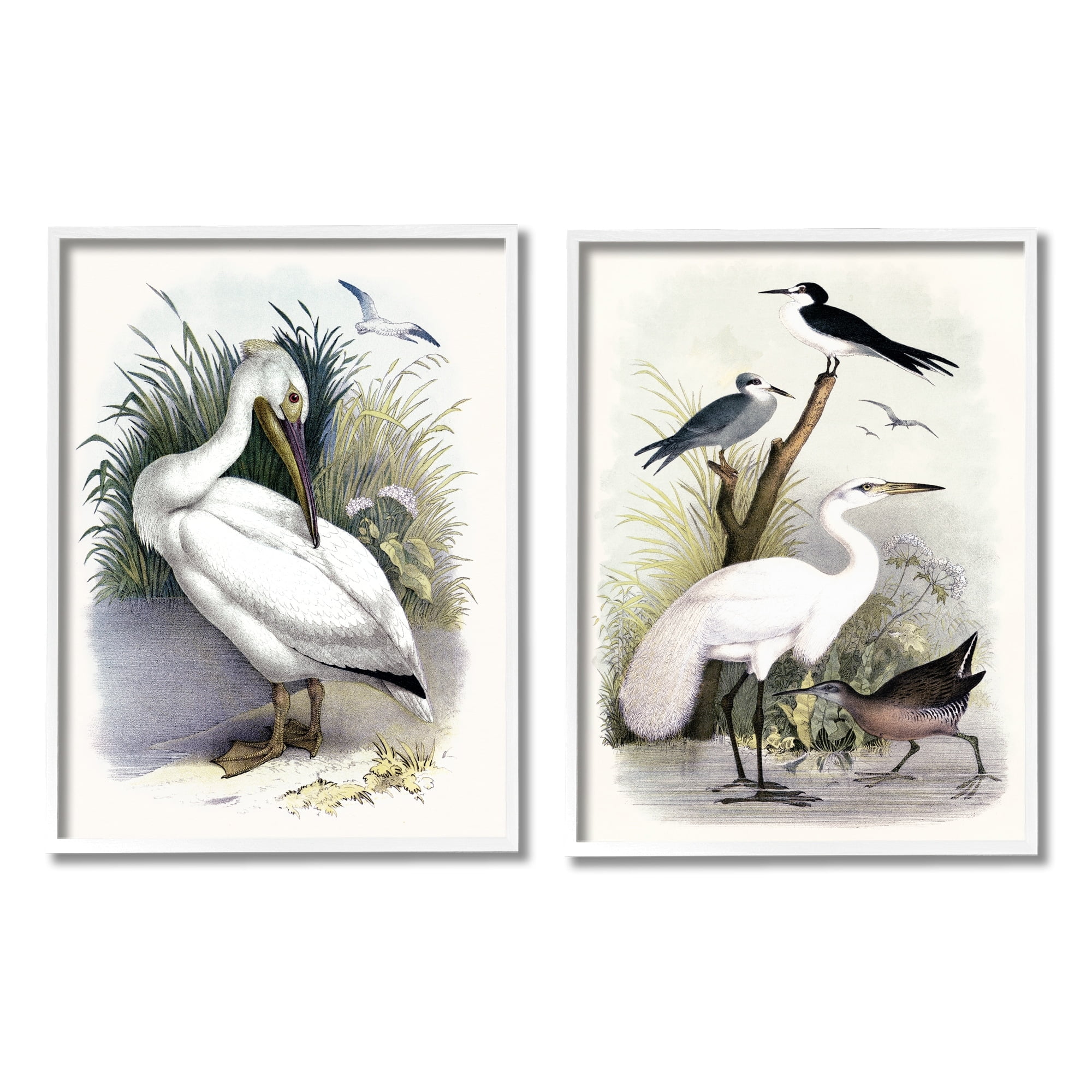 Stupell Industries Wild Pelican Birds Avian Waterside Landscape Graphic Art White Framed Art Print Wall Art, Set of 2, Design by Piddix