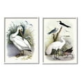 thumbnail image 4 of Stupell Industries Wild Pelican Birds Avian Waterside Landscape Graphic Art White Framed Art Print Wall Art, Set of 2, Design by Piddix, 4 of 5