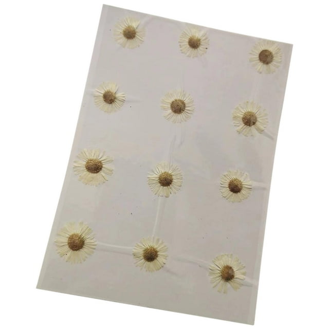 simhoa 12Pcs Dried Pressed Flowers DIY Crafts for Phone Case Wedding White