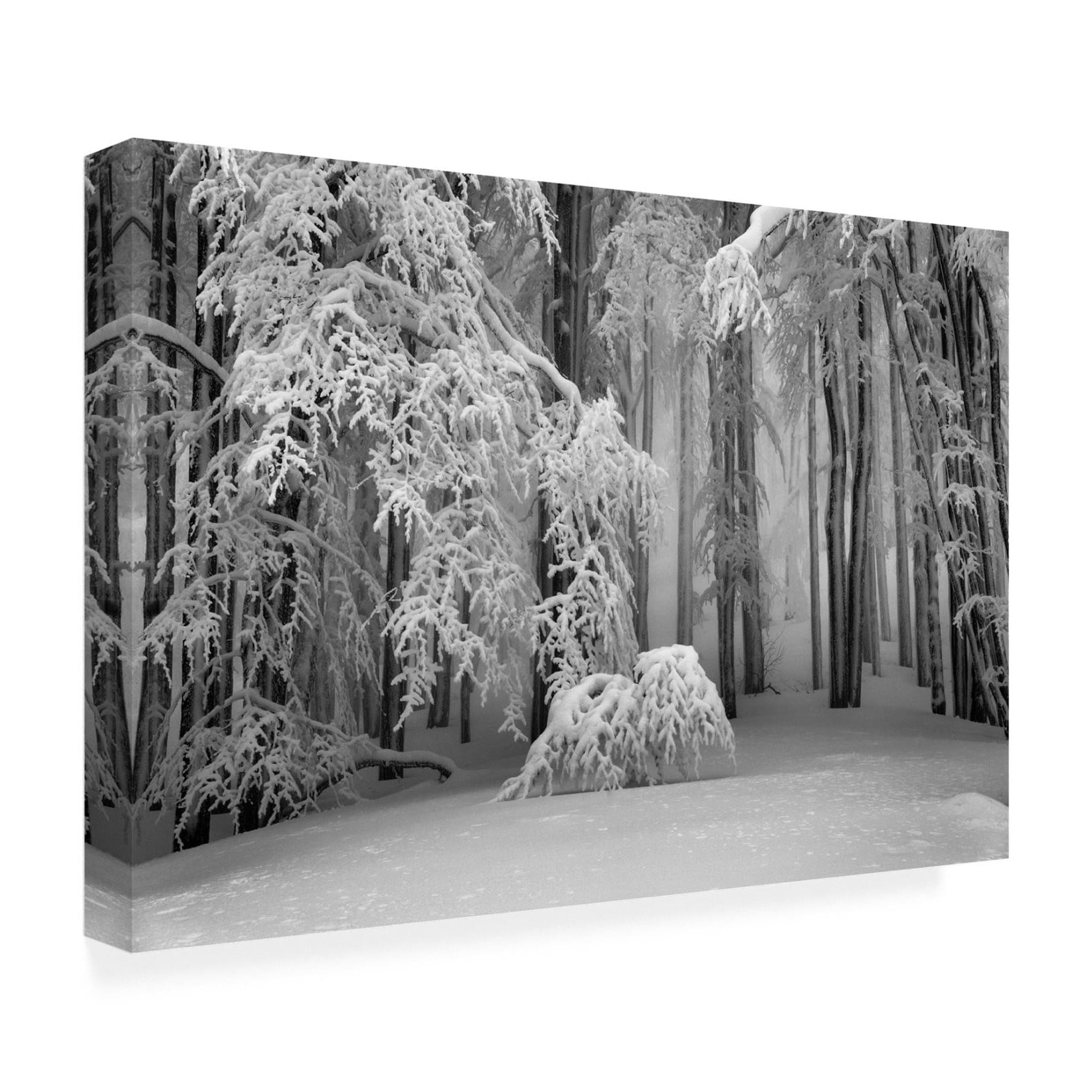 Canvas Wall Art - Ales Klabus 'Perfect Winter' Wall Art for Living Room, Bedroom, or Office Décor by Trademark Fine Art - 47 x 30 Inches