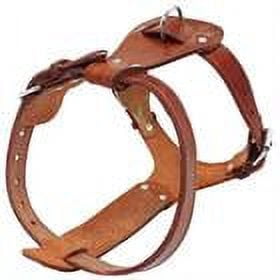 Pet Artist Genuine Leather Dog Harness Heavy Duty Training Adjustable for Bulldog Pitbull