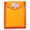 Orange, variant on RZDLIZJ 1pc Colorful A5 Size Accordion File Folder,Multi-Pocket Expanding Document Organizer,Thickened Plastic Material,Color-Coded Tabs for Paper,Bill & Card Storage,7.48×9.84 Inch