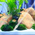 thumbnail image 5 of Alimentador de coral, tubo largo, fertilizante líquido, alimentador de pecera, limpiador de excrementos de peces, 5 of 5