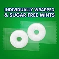 LIFE SAVERS Wint‑O‑Green Sugar Free Breath Mints | Wintergreen Sugar Free Hard Candy | 2.75 oz Travel Size Bags | Pack of 12 Fresh Breath Mints | Bulk Mints | Ships in an Aromatik™ Damage Proof Box
