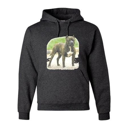 Wild Bobby, Pitbull Dog Animal Pet Lover, Dog Lover, Unisex Graphic Hoodie Sweatshirt, Heather Black, Medium