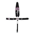 thumbnail image 1 of RJS Racing Equipment RJS1029301 5 Point Camlock Harness System - Black, 1 of 1